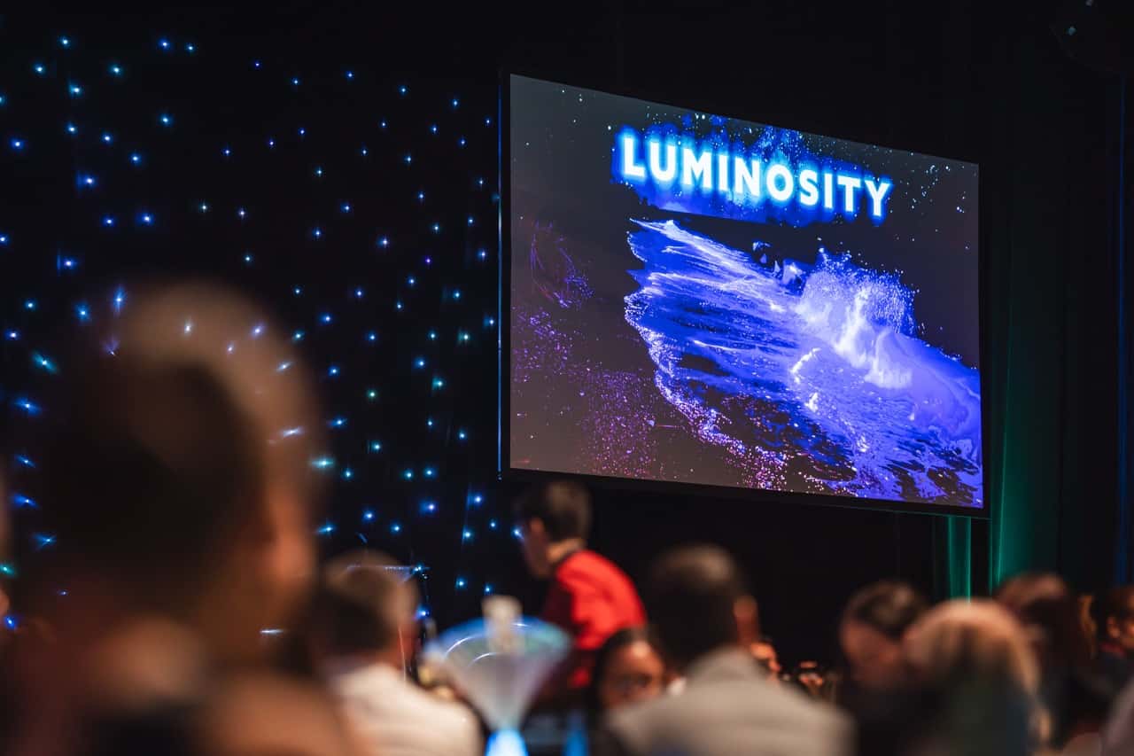 Gala awards 2025 311 large