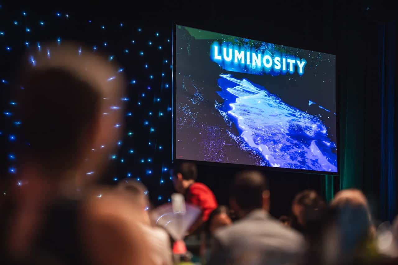 Gala awards 2025 312 large